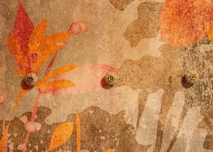 Apartament Ale Bosko - Vinci Przy Parku Prywatny Parking - Everslow Jelenia Góra